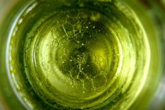 P1050702Glasgruen-scaled